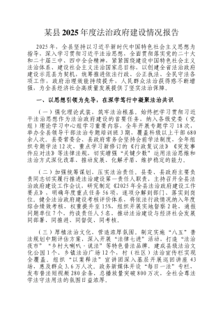 某县2025年度法治政府建设情况报告