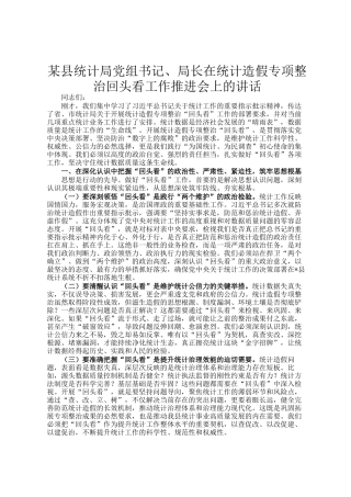 某县统计局党组书记、局长在统计造假专项整治回头看工作推进会上的讲话