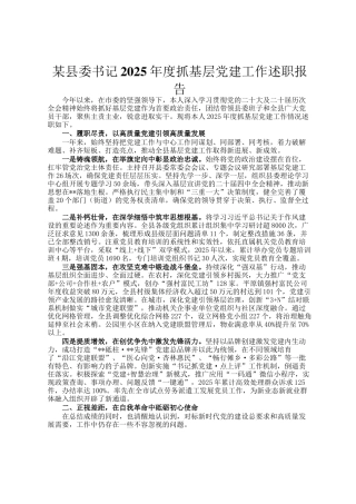 某县委书记2025年度抓基层党建工作述职报告