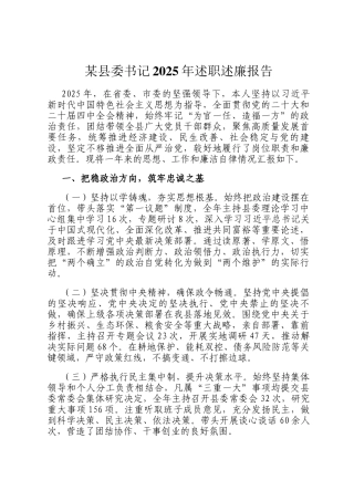 某县委书记2025年述职述廉报告