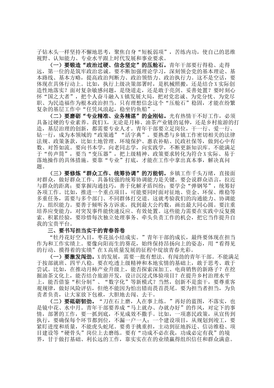 某镇党委书记在全镇青年干部座谈会上的讲话_第2页