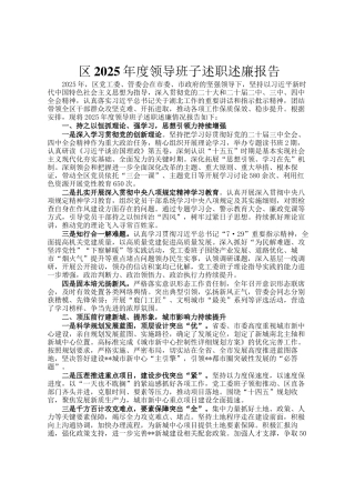 区2025年度领导班子述职述廉报告