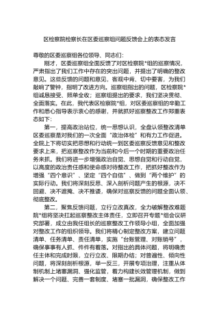 区检察院检察长在区委巡察组问题反馈会上的表态发言