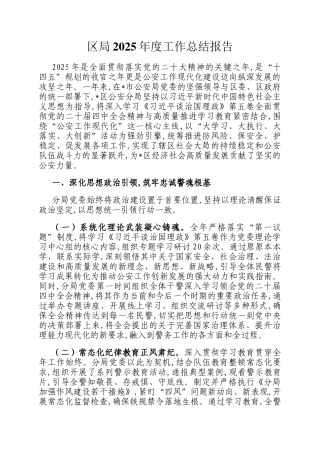 区局2025年度工作总结报告