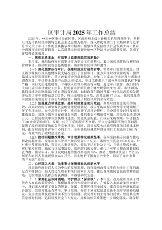区审计局2025年工作总结