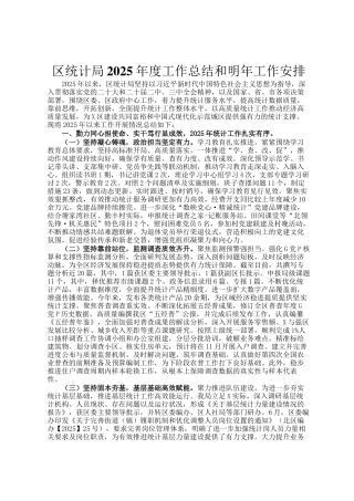 区统计局2025年度工作总结和明年工作安排