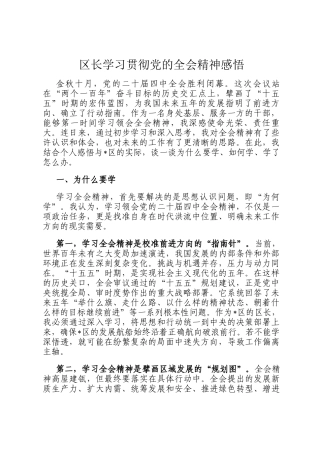 区长学习贯彻党的全会精神感悟