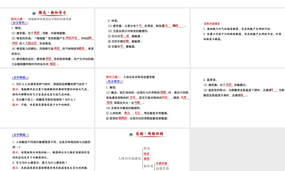 （金榜新学期）2014届七年级生物下册 感受器和感觉器官二（自主探究+合作释疑）名师课件 新人教版