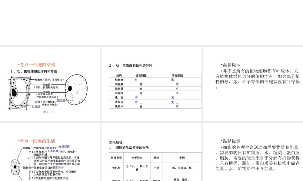 （青岛地区）中考生物会考总复习 主题二 生物体的结构层次课件 新人教版-新人教版初中九年级全册生物课件