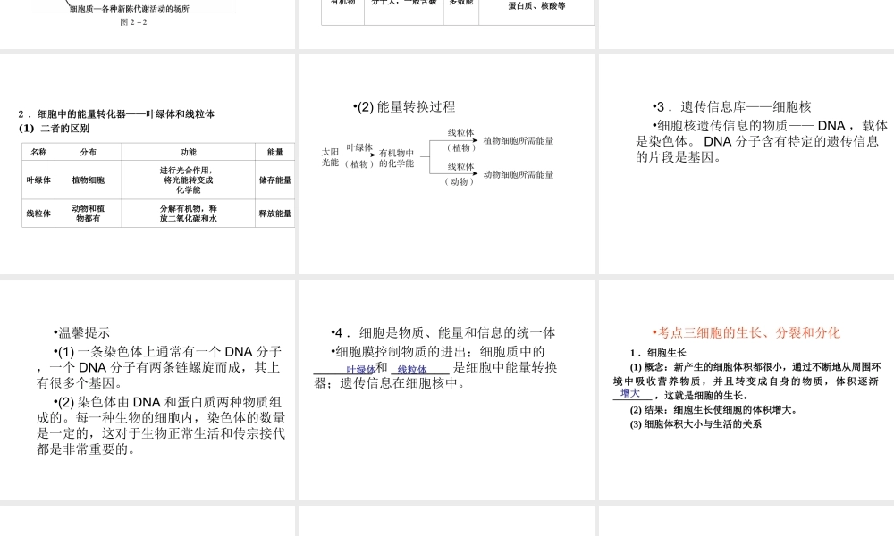 （青岛地区）中考生物会考总复习 主题二 生物体的结构层次课件 新人教版-新人教版初中九年级全册生物课件