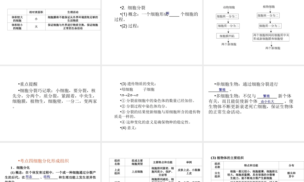 （青岛地区）中考生物会考总复习 主题二 生物体的结构层次课件 新人教版-新人教版初中九年级全册生物课件