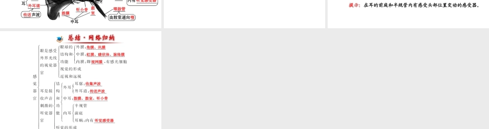 （金榜新学期）2014届七年级生物下册 感受器和感觉器官一（自主探究+合作释疑）名师课件 新人教版