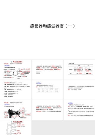 （金榜新学期）2014届七年级生物下册 感受器和感觉器官一（自主探究+合作释疑）名师课件 新人教版