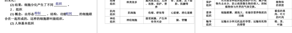 （青岛地区）中考生物会考总复习 主题二 生物体的结构层次课件 新人教版-新人教级全册生物课件