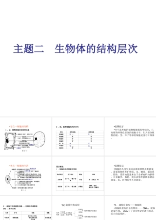 （青岛地区）中考生物会考总复习 主题二 生物体的结构层次课件 新人教版-新人教级全册生物课件
