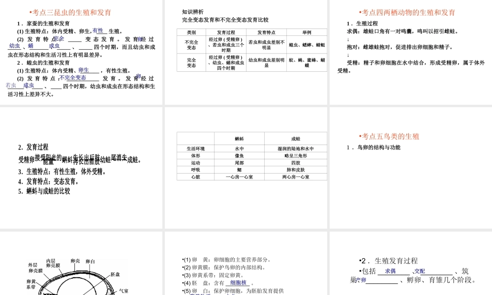 （青岛地区）中考生物会考总复习 主题六 生物的生殖发育和遗传课件 新人教版-新人教版初中九年级全册生物课件