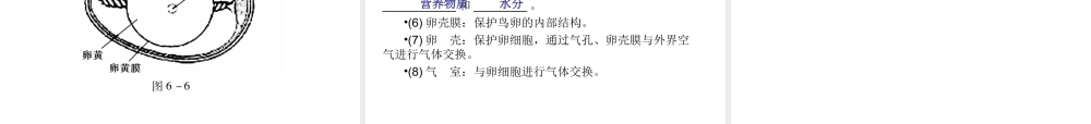 （青岛地区）中考生物会考总复习 主题六 生物的生殖发育和遗传课件 新人教版-新人教版初中九年级全册生物课件