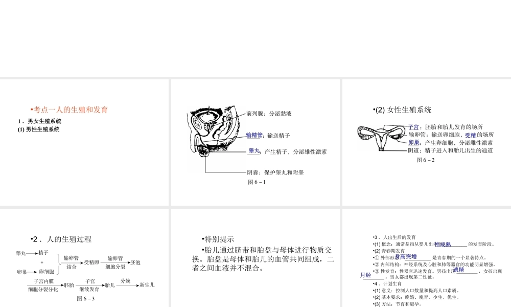 （青岛地区）中考生物会考总复习 主题六 生物的生殖发育和遗传课件 新人教版-新人教级全册生物课件