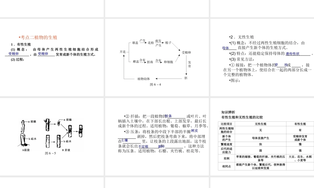 （青岛地区）中考生物会考总复习 主题六 生物的生殖发育和遗传课件 新人教版-新人教级全册生物课件