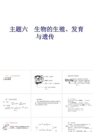 （青岛地区）中考生物会考总复习 主题六 生物的生殖发育和遗传课件 新人教版-新人教级全册生物课件