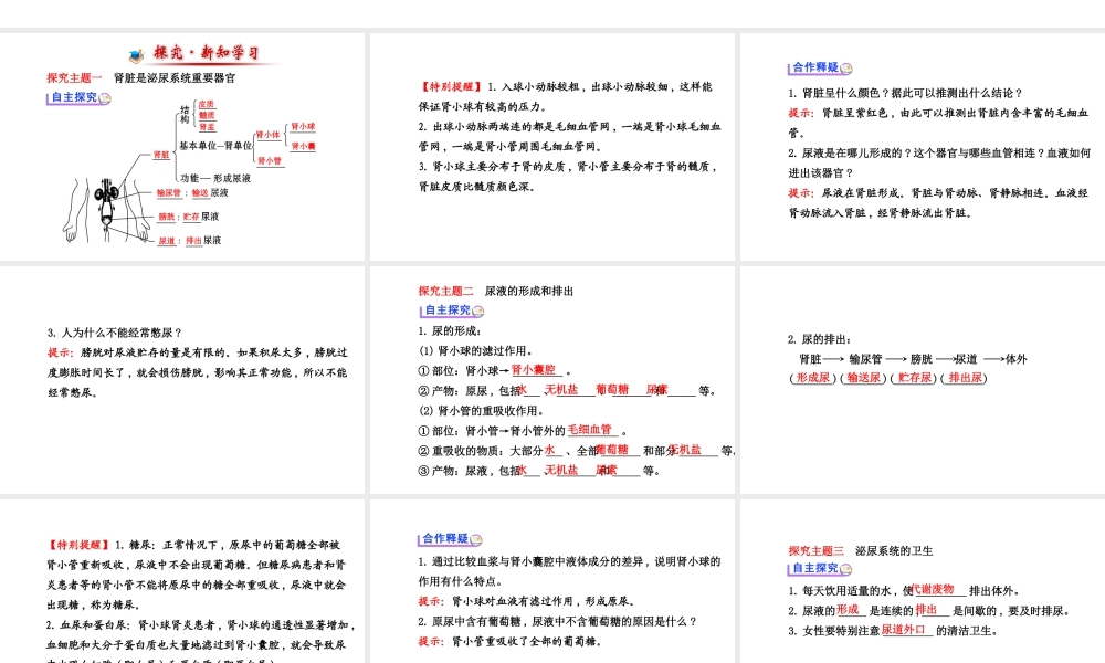 （金榜新学期）2014届七年级生物下册 尿的形成与排出（自主探究+合作释疑）名师课件 新人教版