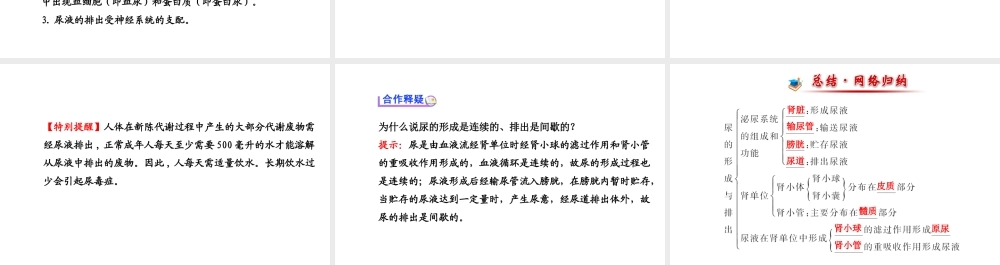 （金榜新学期）2014届七年级生物下册 尿的形成与排出（自主探究+合作释疑）名师课件 新人教版