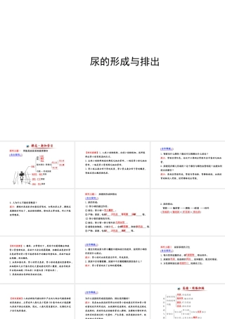 （金榜新学期）2014届七年级生物下册 尿的形成与排出（自主探究+合作释疑）名师课件 新人教版