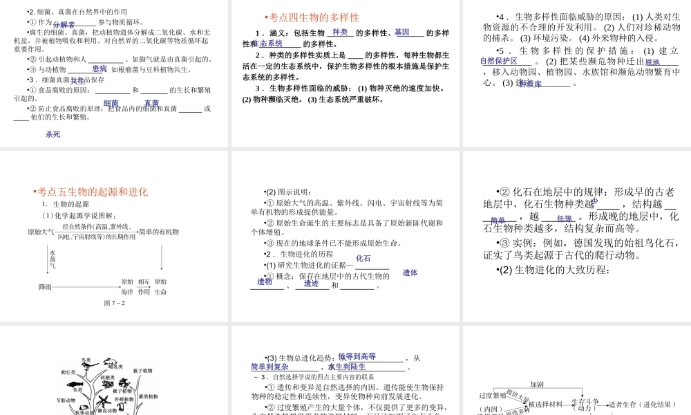 （青岛地区）中考生物会考总复习 主题七 生物的多样性课件 新人教版-新人教版初中九年级全册生物课件