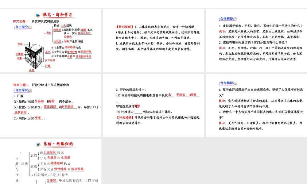 （金榜新学期）2014届七年级生物下册 皮肤与汗液分泌（自主探究+合作释疑）名师课件 新人教版