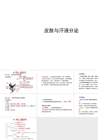 （金榜新学期）2014届七年级生物下册 皮肤与汗液分泌（自主探究+合作释疑）名师课件 新人教版
