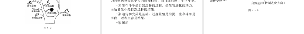 （青岛地区）中考生物会考总复习 主题七 生物的多样性课件 新人教版-新人教级全册生物课件