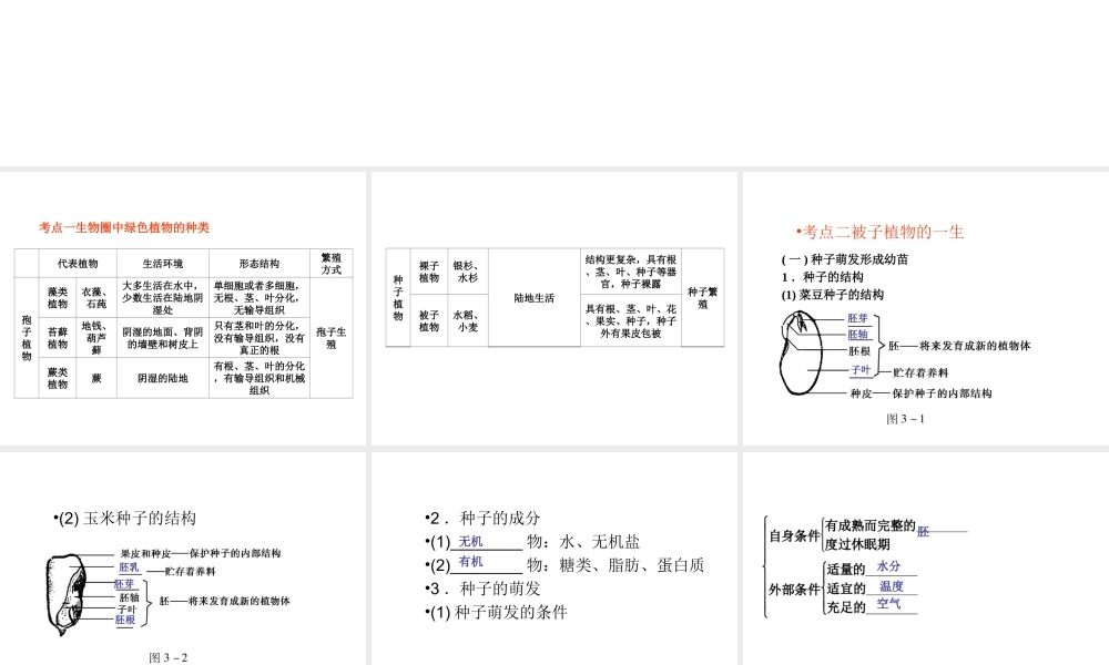 （青岛地区）中考生物会考总复习 主题三 生物圈的绿色植物课件 新人教版-新人教版初中九年级全册生物课件