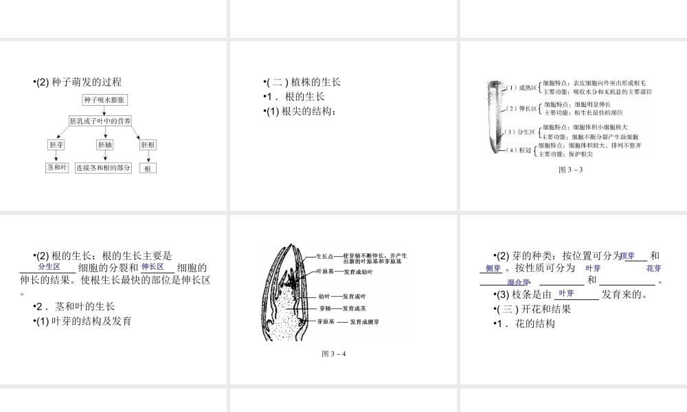 （青岛地区）中考生物会考总复习 主题三 生物圈的绿色植物课件 新人教版-新人教级全册生物课件