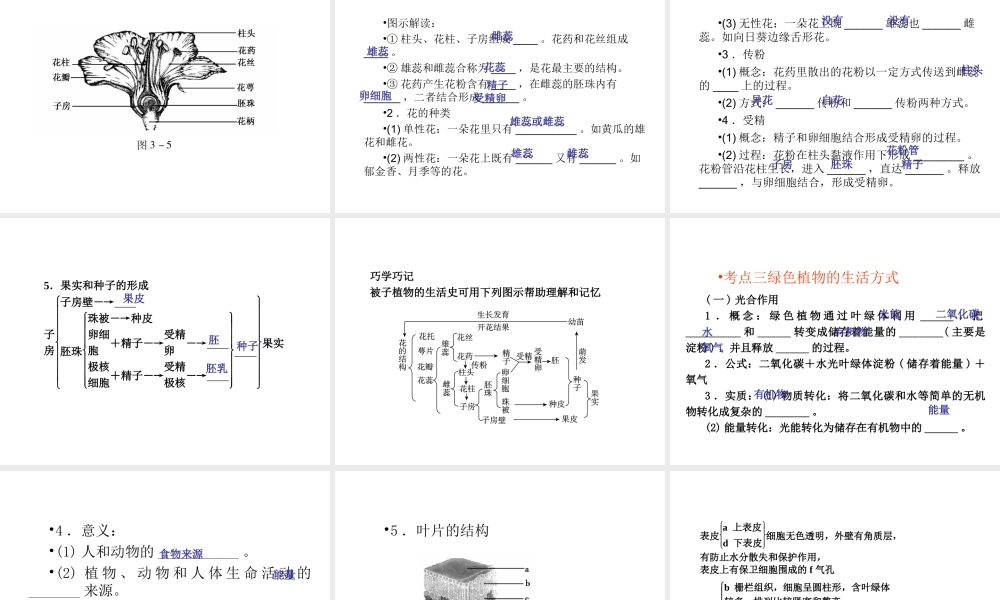 （青岛地区）中考生物会考总复习 主题三 生物圈的绿色植物课件 新人教版-新人教级全册生物课件