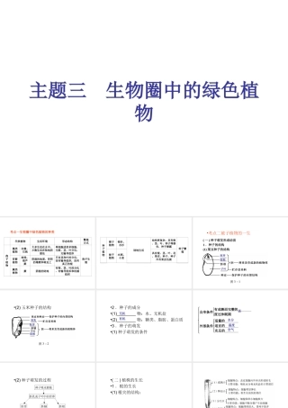 （青岛地区）中考生物会考总复习 主题三 生物圈的绿色植物课件 新人教版-新人教级全册生物课件
