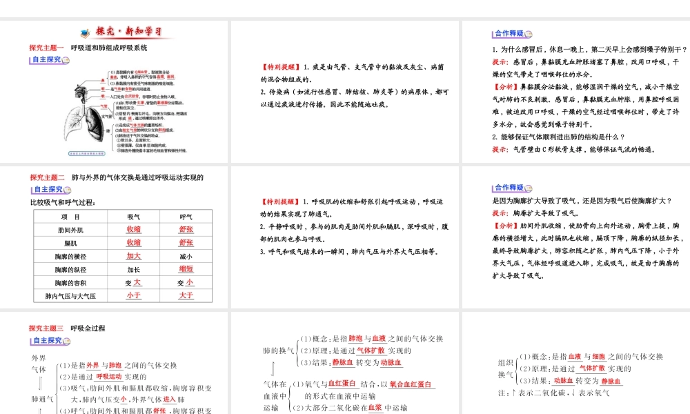 （金榜新学期）2014届七年级生物下册 人体细胞获得氧气的过程（自主探究+合作释疑）名师课件 新人教版
