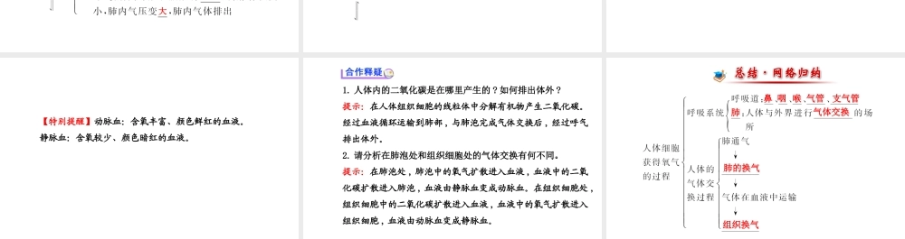 （金榜新学期）2014届七年级生物下册 人体细胞获得氧气的过程（自主探究+合作释疑）名师课件 新人教版