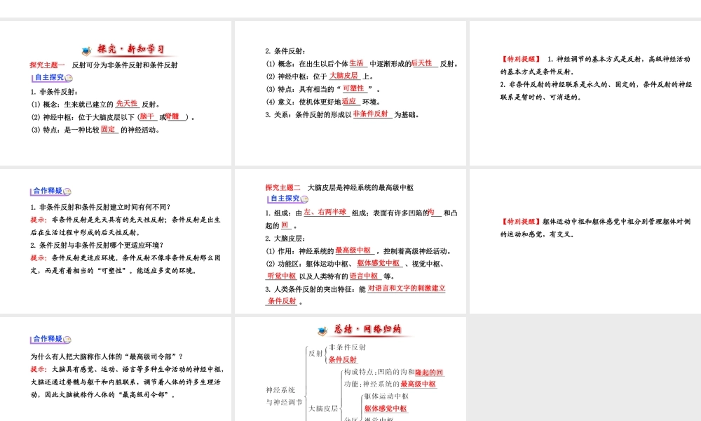 （金榜新学期）2014届七年级生物下册 神经系统与神经调节二（自主探究+合作释疑）名师课件 新人教版