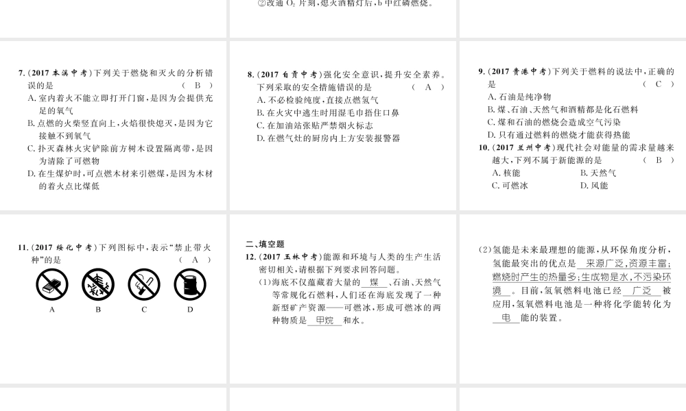 （青海专版）中考化学复习 第1编 教材知识梳理篇 第7单元 燃料及其利用（精练）课件-人教版初中九年级全册化学课件