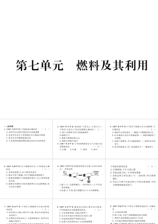（青海专版）中考化学复习 第1编 教材知识梳理篇 第7单元 燃料及其利用（精练）课件-人教版初中九年级全册化学课件