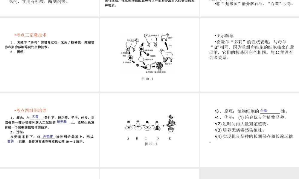 （青岛地区）中考生物会考总复习 主题十 生物技术课件 新人教版-新人教级全册生物课件