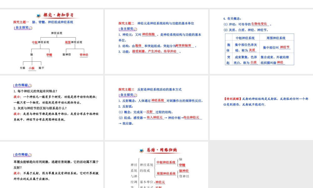 （金榜新学期）2014届七年级生物下册 神经系统与神经调节一（自主探究+合作释疑）名师课件 新人教版