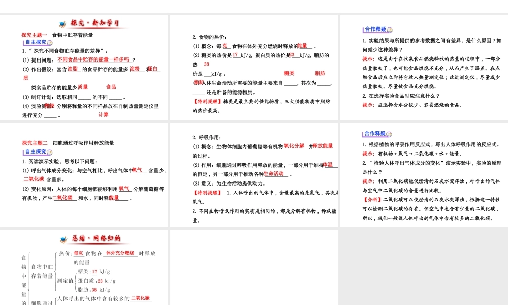 （金榜新学期）2014届七年级生物下册 食物中能量的释放（自主探究+合作释疑）名师课件 新人教版