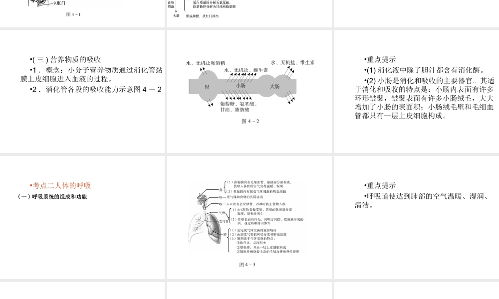 （青岛地区）中考生物会考总复习 主题四 生物圈中的人课件 新人教版-新人教版初中九年级全册生物课件