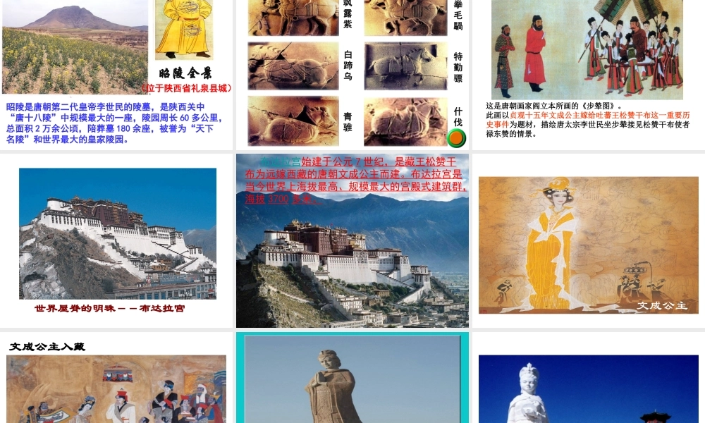 （陕西专版）春中考历史复习 贞观之治课件-人教版初中九年级全册历史课件