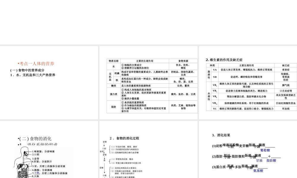 （青岛地区）中考生物会考总复习 主题四 生物圈中的人课件 新人教版-新人教级全册生物课件