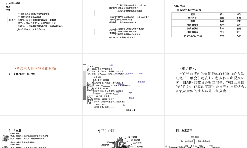 （青岛地区）中考生物会考总复习 主题四 生物圈中的人课件 新人教版-新人教级全册生物课件
