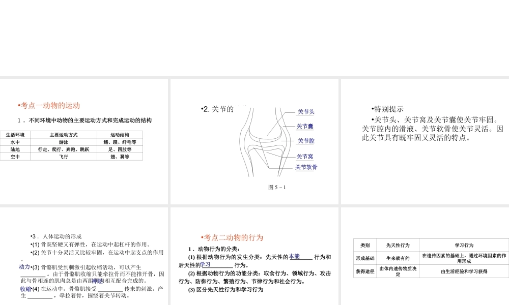 （青岛地区）中考生物会考总复习 主题五 动物的运动和行为课件 新人教版-新人教版初中九年级全册生物课件