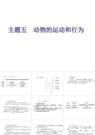 （青岛地区）中考生物会考总复习 主题五 动物的运动和行为课件 新人教版-新人教级全册生物课件