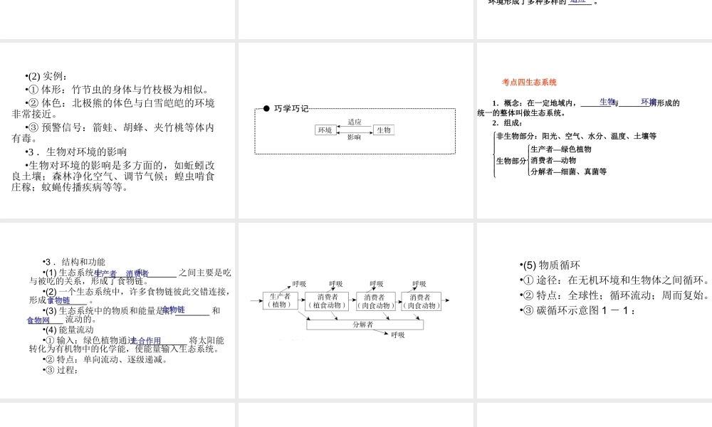 （青岛地区）中考生物会考总复习 主题一 生物与环境课件 新人教版-新人教版初中九年级全册生物课件